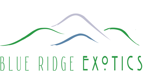 Blue Ridge Exotics